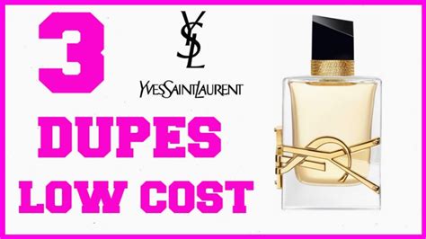 ysl libre eau de parfum dupe|ysl libre collection.